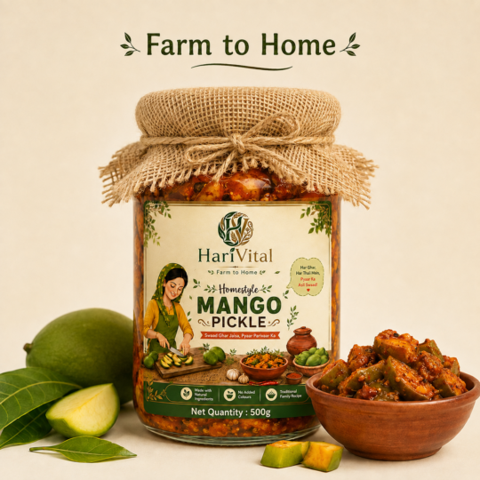 HariVital Mango Pickle Homemade Pickle Traditional Indian Pickles Farm to Home